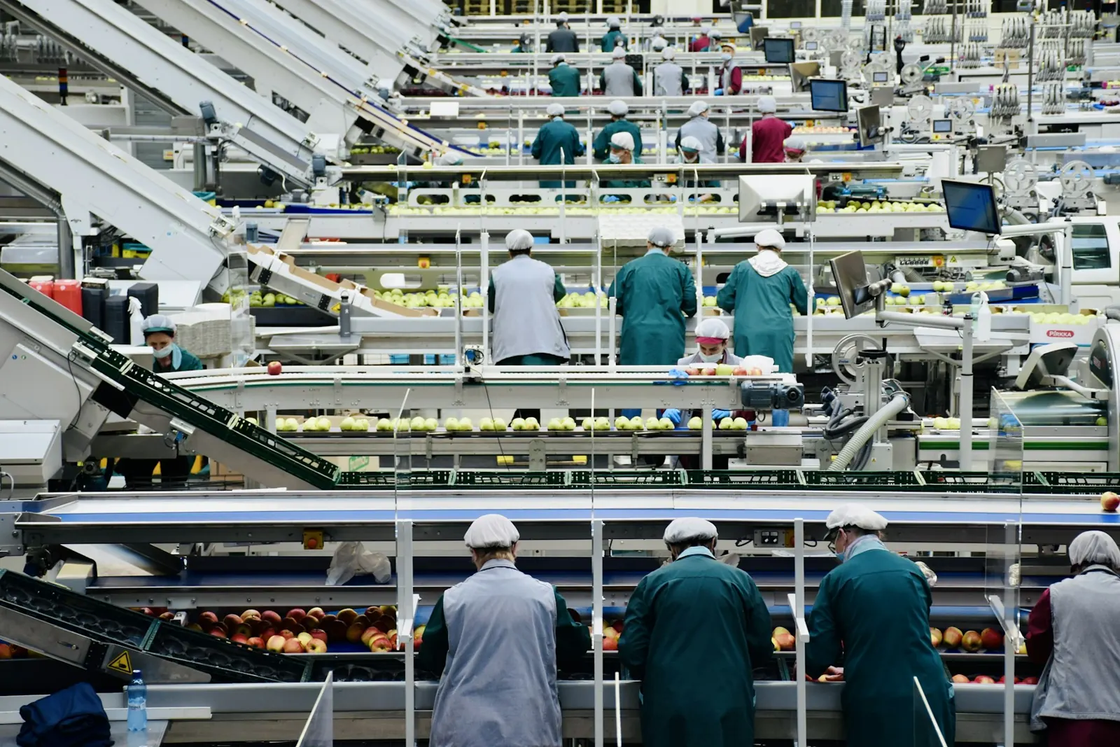 Lignes de production dans une usine agroalimentaire